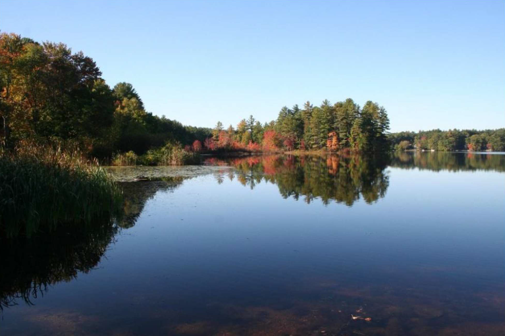 RFQ NRPC Water Quality Protection Plan for Robinson Pond Hudson New