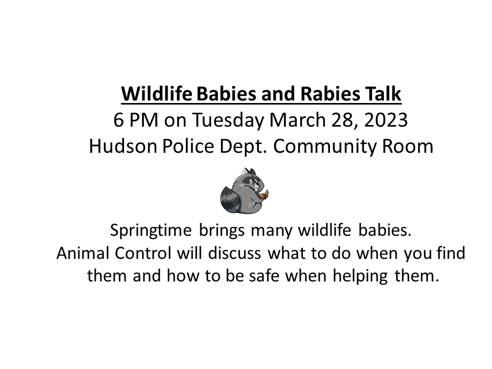 HPD Animal Control Presents Wildlife Babies & Rabies Talk Hudson New Hampshire