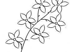 flower drawing