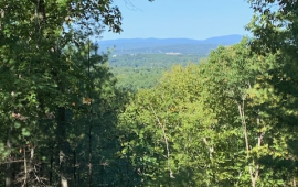 Colburn Town Forest trail view