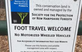 NH Forest Sign