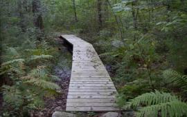 musquash bridge