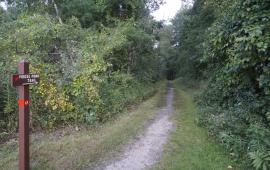 Trail at Benson Park