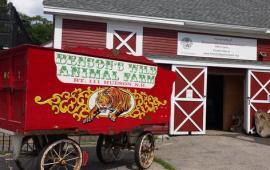 Friends of Benson Park Red Wagon