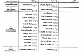 2020 General Election Results