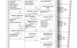 ballot pic