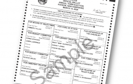 sample ballot picture