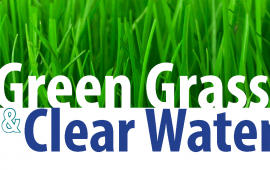 green grass logo