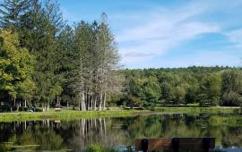 benson park trail