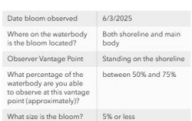 Robinson Pond Cyanobacteria Bloom