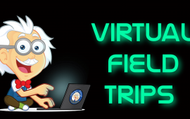 Virtual trip