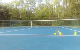 Pickleball Courts