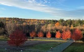 View from the Senior Center