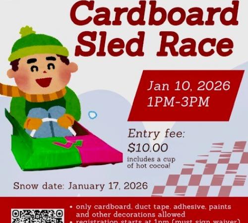 cardboard sled race