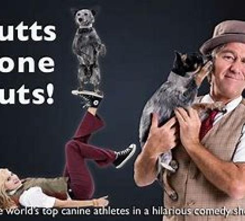 Mutts Gone Nuts