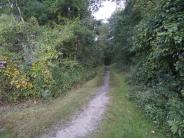 entry of Benson Park walking path