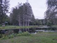 benson pond 2