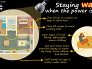 Tips to stay warm when there is no power.