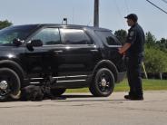 K9 Ice indicating drugs inside a vehicle