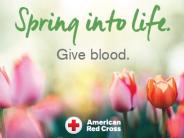 Red Cross Blood Drive Flyer