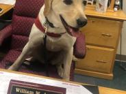 Haven sitting at Chief Avery's desk