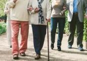 Seniors Walking on a Path