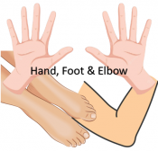 Hand Foot & Elbow