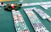 Mexican Train Dominoes