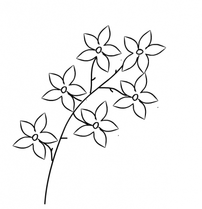 flower drawing