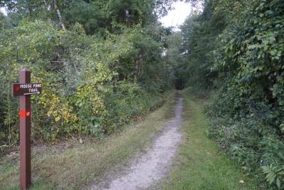 Trail at Benson Park