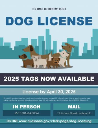 dog license