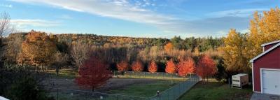 View from the Senior Center