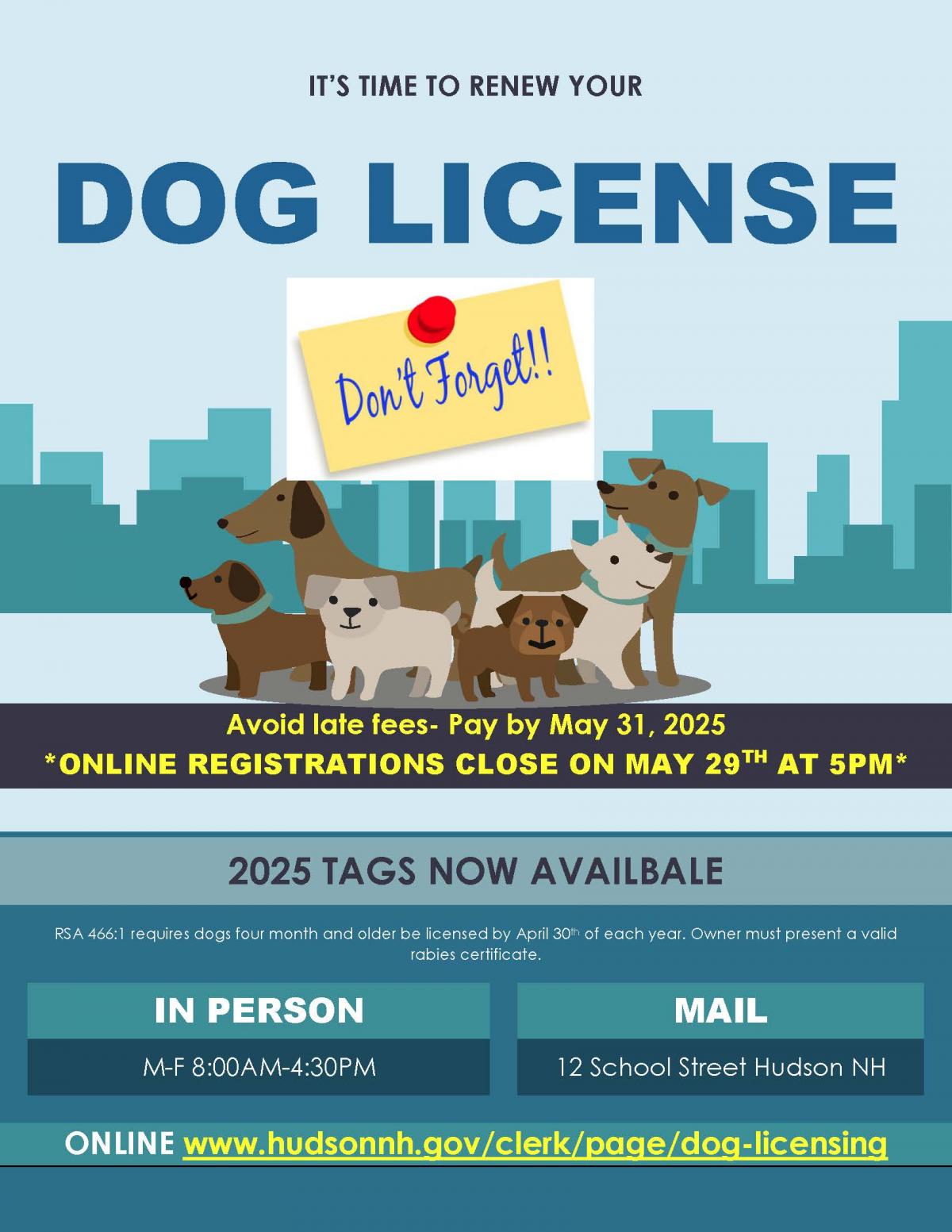 Dog License