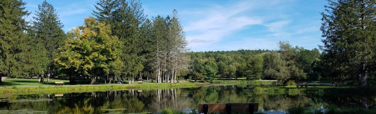 benson park trail