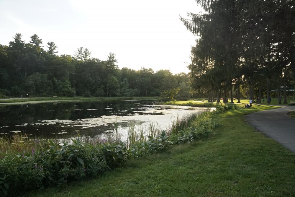 Benson Park Photos Hudson New Hampshire