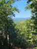 Colburn Town Forest trail view